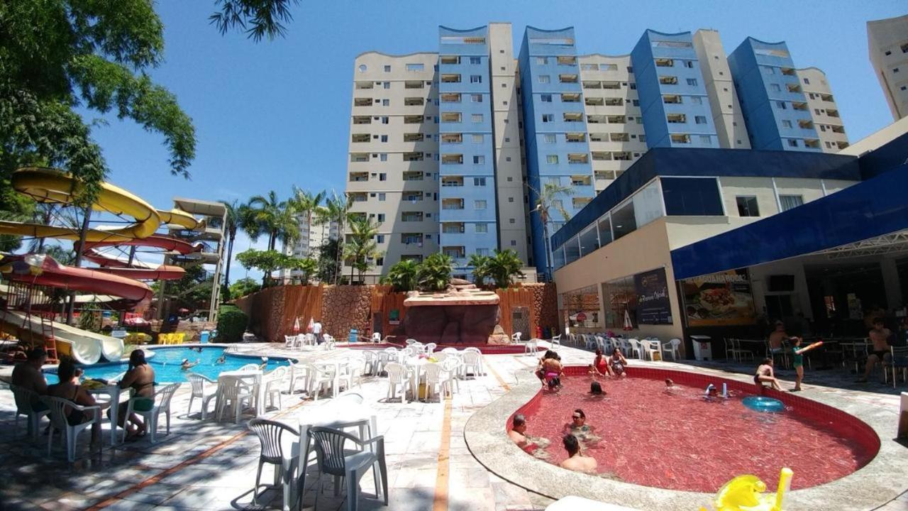 Golden Dolphin Grand 517