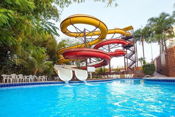 Golden Dolphin Grand 517