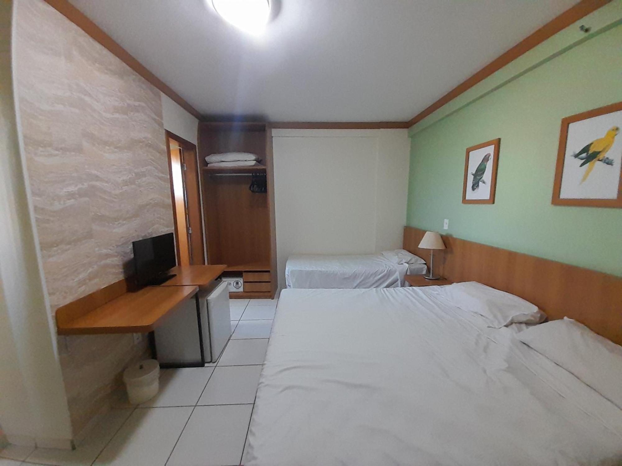 Golden Dolphin Grand 517 *